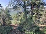 104 Winterberry Court - Photo 12