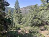 104 Winterberry Court - Photo 5