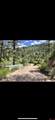 17235 Us Hwy 160 - Photo 3