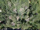 718 Hermosa Cliffs Road - Photo 10