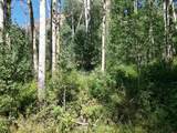 718 Hermosa Cliffs Road - Photo 2