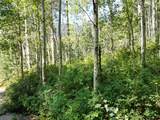 718 Hermosa Cliffs Road - Photo 5