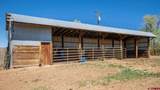 793 County Road 104 - Photo 27