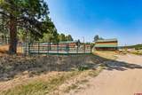 2400 Piedra Road - Photo 15