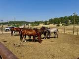 2400 Piedra Road - Photo 20