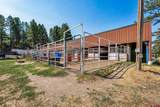 2400 Piedra Road - Photo 21