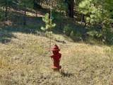 2400 Piedra Road - Photo 39
