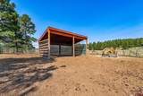 2400 Piedra Road - Photo 9