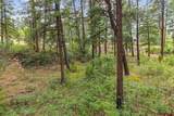 307 Glacier Cliff Drive - Photo 20