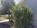 51 Elm Avenue - Photo 30