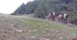 3070 County Road 391 - Photo 28