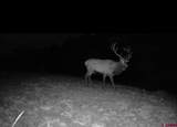 3070 County Road 391 - Photo 30
