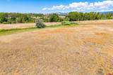 44 County Road 225A - Photo 19