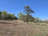 7915 St Hwy 151 - Photo 40