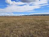 TBD County Road 129 - Photo 3
