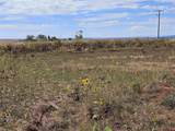 TBD County Road 129 - Photo 4