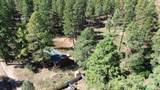 517 Evergreen Drive - Photo 15