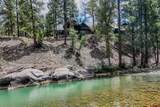 12849 County Road 250 - Photo 4