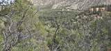XXX Indian Route 111 - Photo 16