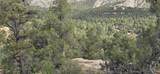 XXX Indian Route 111 - Photo 18