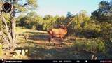 XXX Indian Route 111 - Photo 24