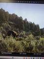 XXX Indian Route 111 - Photo 26