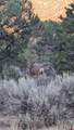 XXX Indian Route 111 - Photo 29