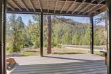 46 Larkspur Street - Photo 16