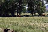 tbd Co Rd 14 A - Photo 2