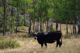 408 Raptor Place - Photo 44