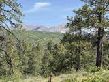 1649 Sheep Springs Road - Photo 1