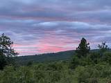 1649 Sheep Springs Road - Photo 12