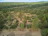 1649 Sheep Springs Road - Photo 4