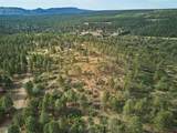 1649 Sheep Springs Road - Photo 6