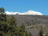 1649 Sheep Springs Road - Photo 9
