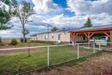 3689 County Road 131 - Photo 2