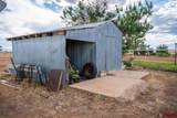 3689 County Road 131 - Photo 5