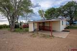 3771 County Road 131 - Photo 14