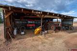 3771 County Road 131 - Photo 3