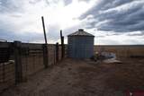 3771 County Road 131 - Photo 4