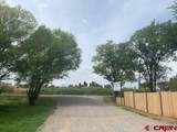 60 County Road 234 - Photo 34