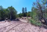 TBD Budd Road - Photo 14