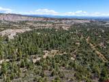 TBD Budd Road - Photo 8