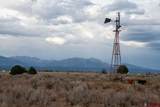TBD County Road 131 - Photo 2