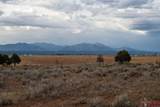TBD County Road 131 - Photo 3