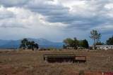 TBD County Road 131 - Photo 4