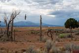 TBD County Road 131 - Photo 5
