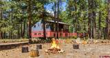 36750 Road P.8 - Photo 1
