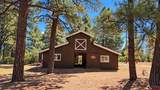 409 Old Snag Circle - Photo 4