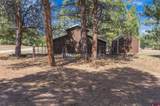 409 Old Snag Circle - Photo 39